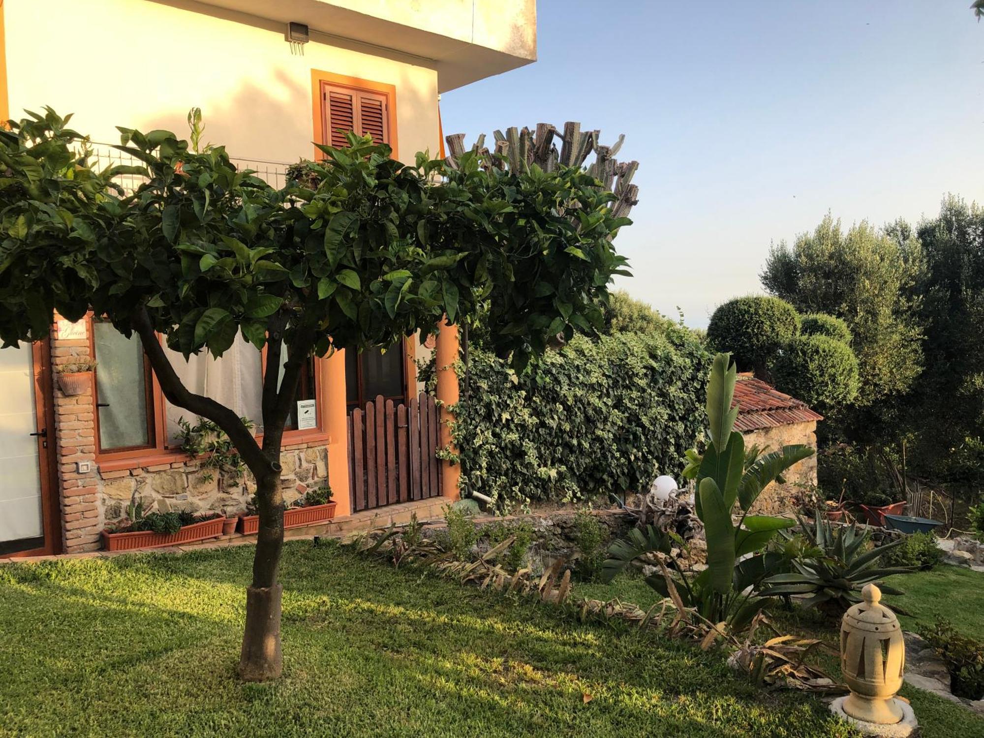 Il Vicolo Palinuro Villa Pisciotta Exterior photo